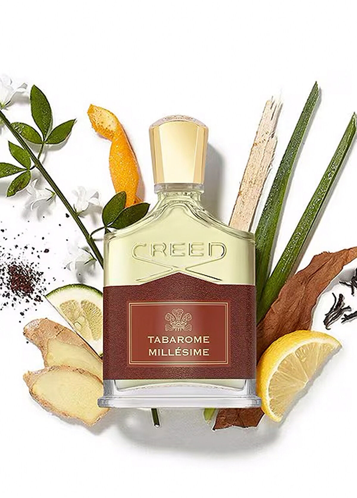 Creed Millesime Tabarome EDP 100 ml Men's Perfume - 3