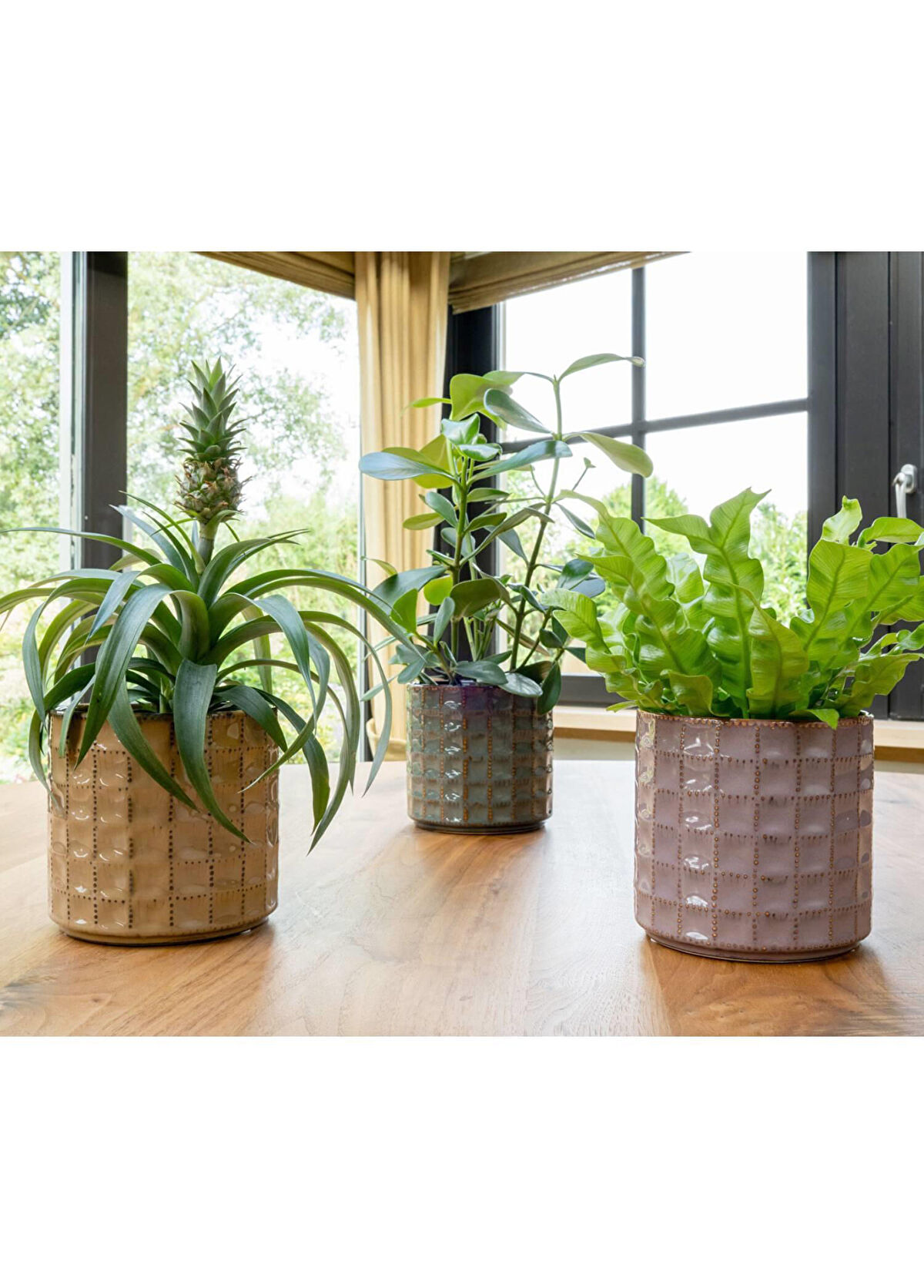 Ter Steege Zahra Kahverengi Seramik Saksı 14x13cm - 3