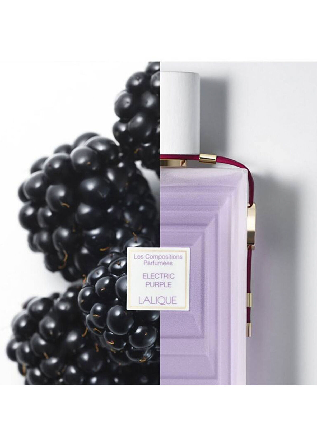 Lalique Les Compositions Electric Purple EDP 100 ml Women's Perfume - 3