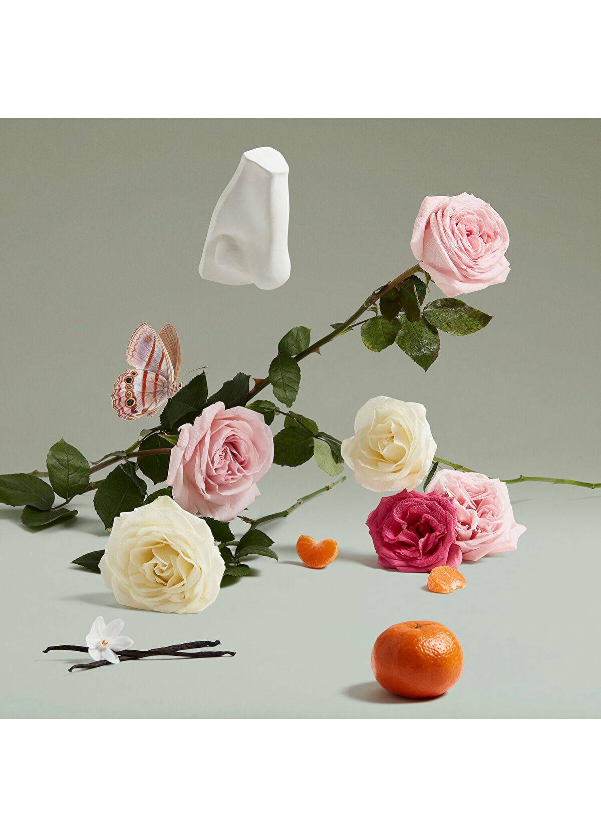 Penhaligon's The Coveted Duchess Rose Eau de Parfüm 75 ml - 3