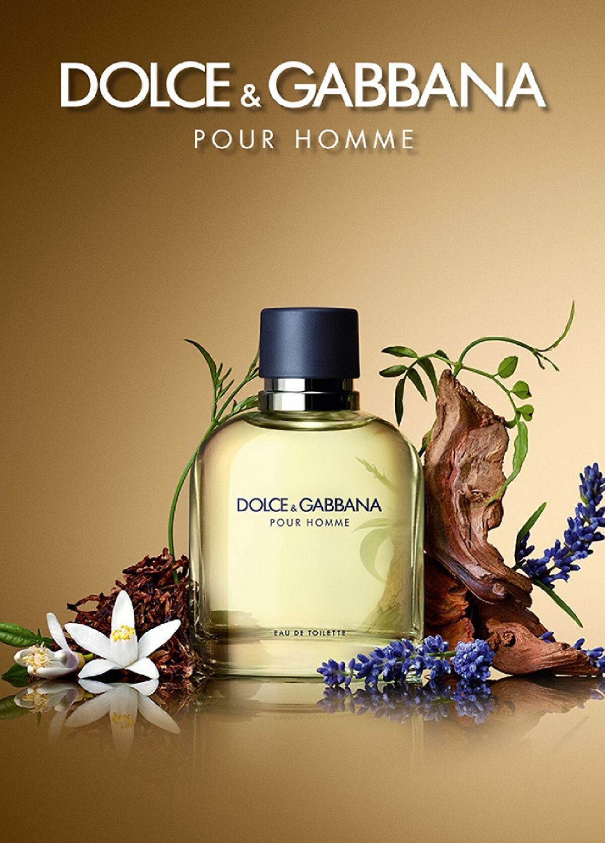 Dolce&Gabbana Dolce&Gabbana Pour Homme EDT 75 ml - 3