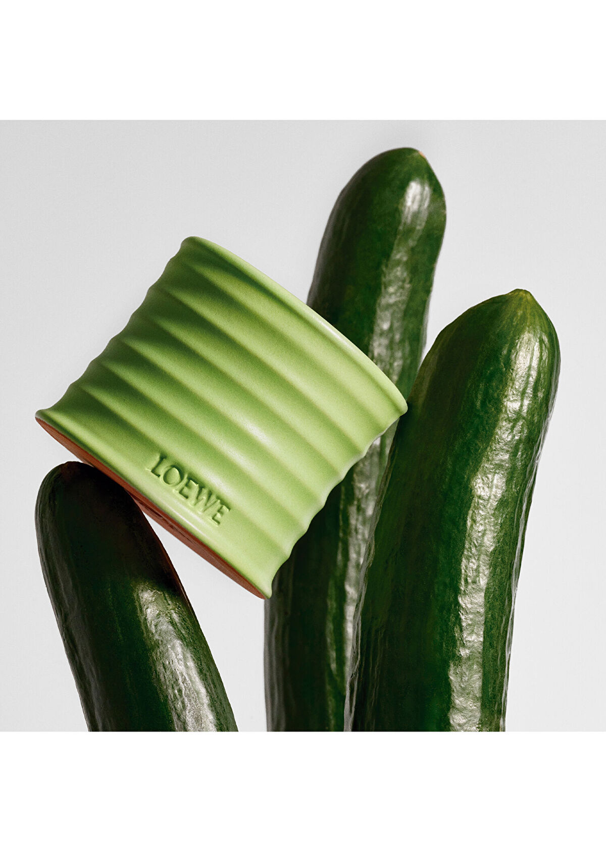 Loewe Cucumber 170 gr Mum - 3