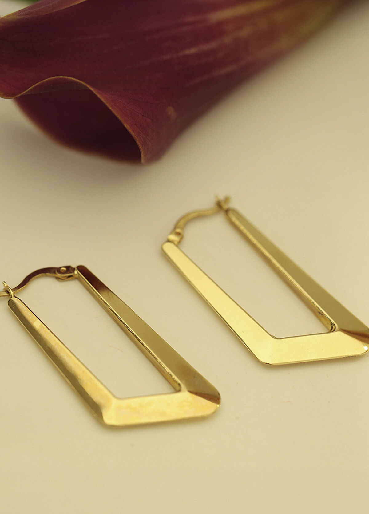 The Anoukis Grace Hoops 14K Gold Women's Earrings - 3