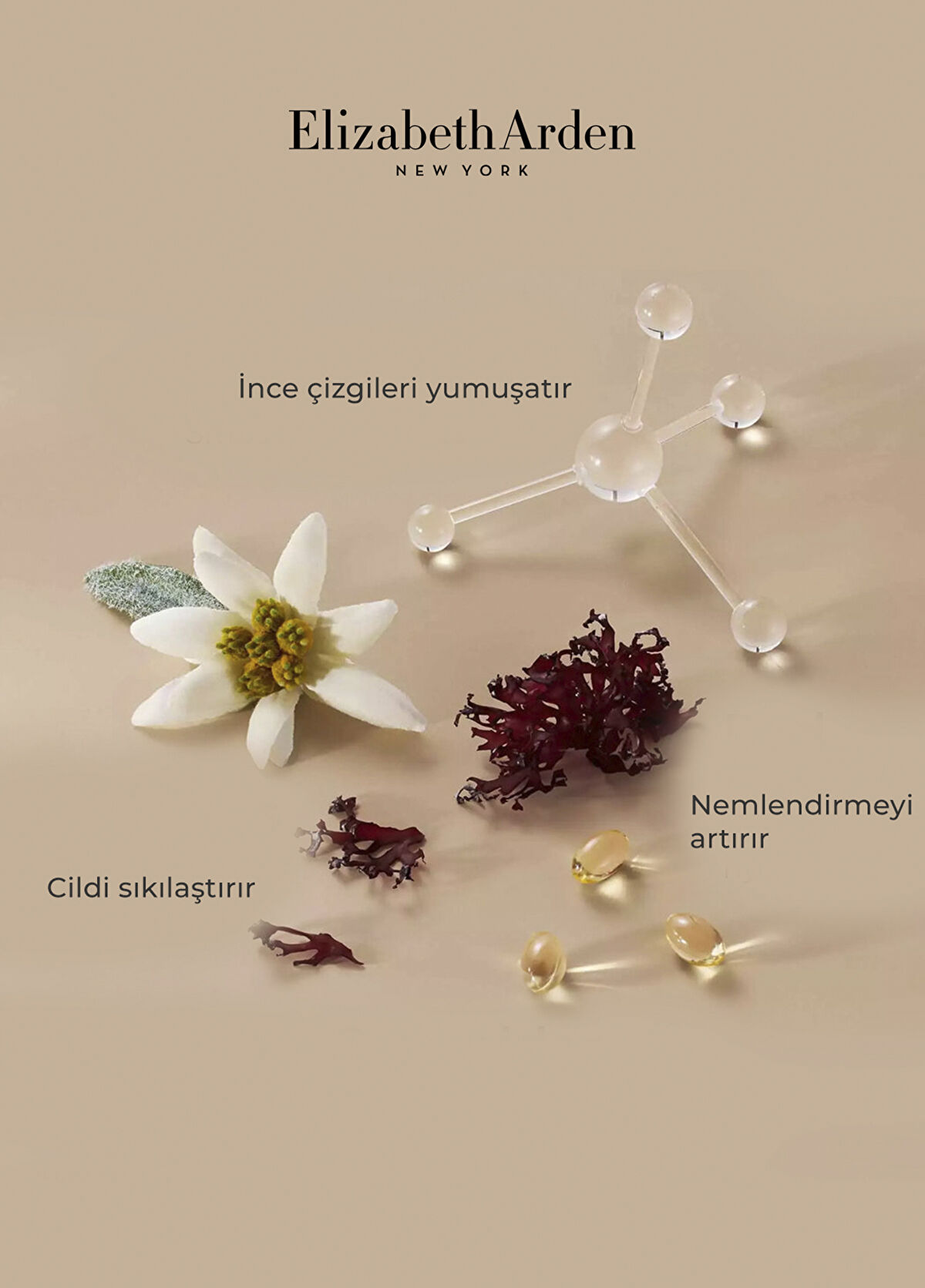 Elizabeth Arden Advanced Ceramide Lift & Firm Night Cream 50  ml Sıkılaştırıcı ve Yenileyici Gece Kremi - 3