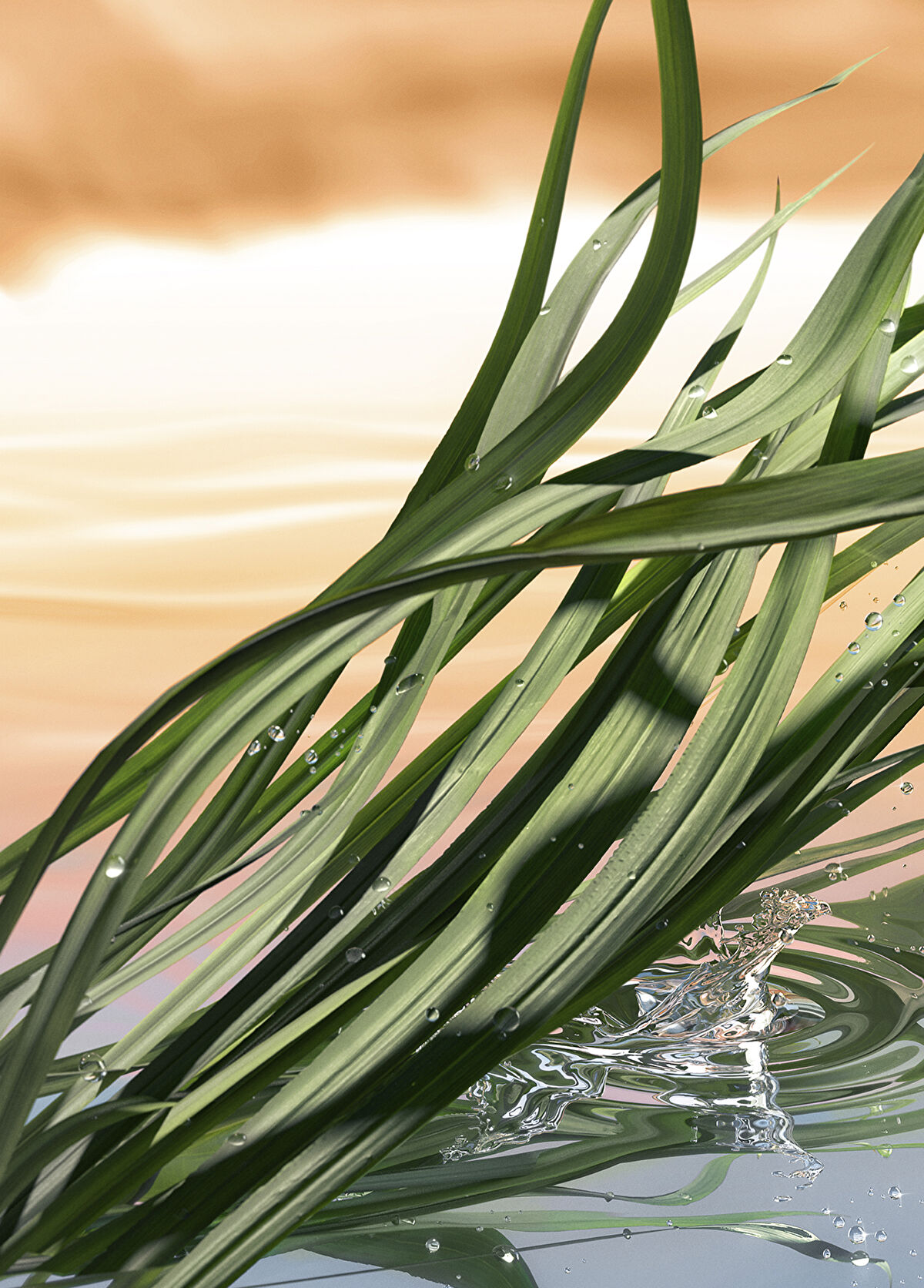 Estee Lauder Blushing Sands EDP 100 ml - 3