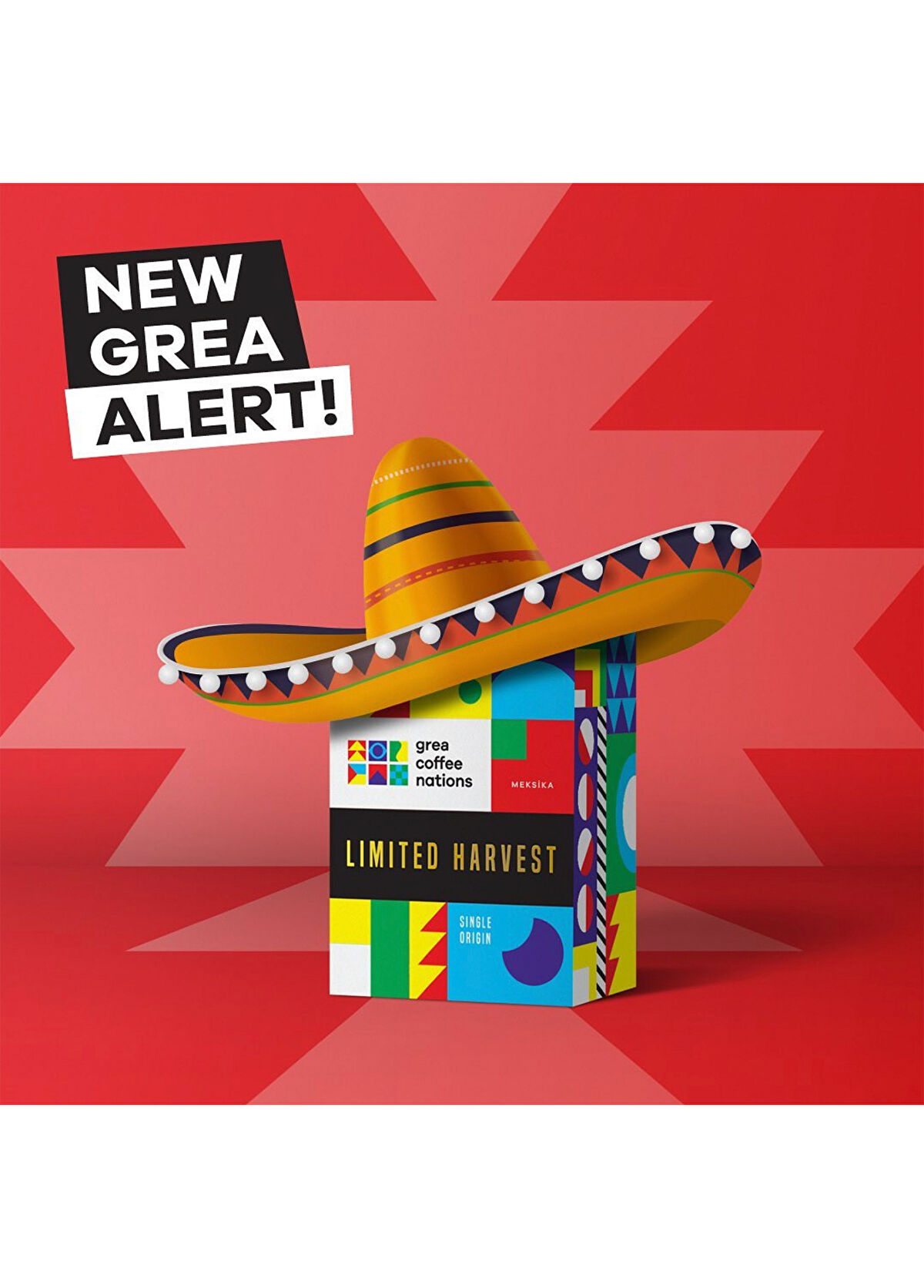 Grea Coffee Meksika Limited Harvest Meksika Çekirdek Kahve 250 GR - 3