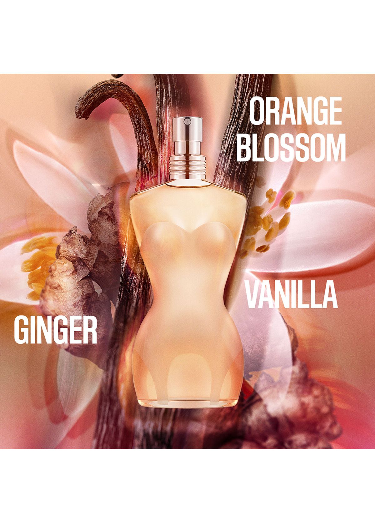 Jean Paul Gaultier Jean Paul Gaultier Classıque Edt 100Ml - 3