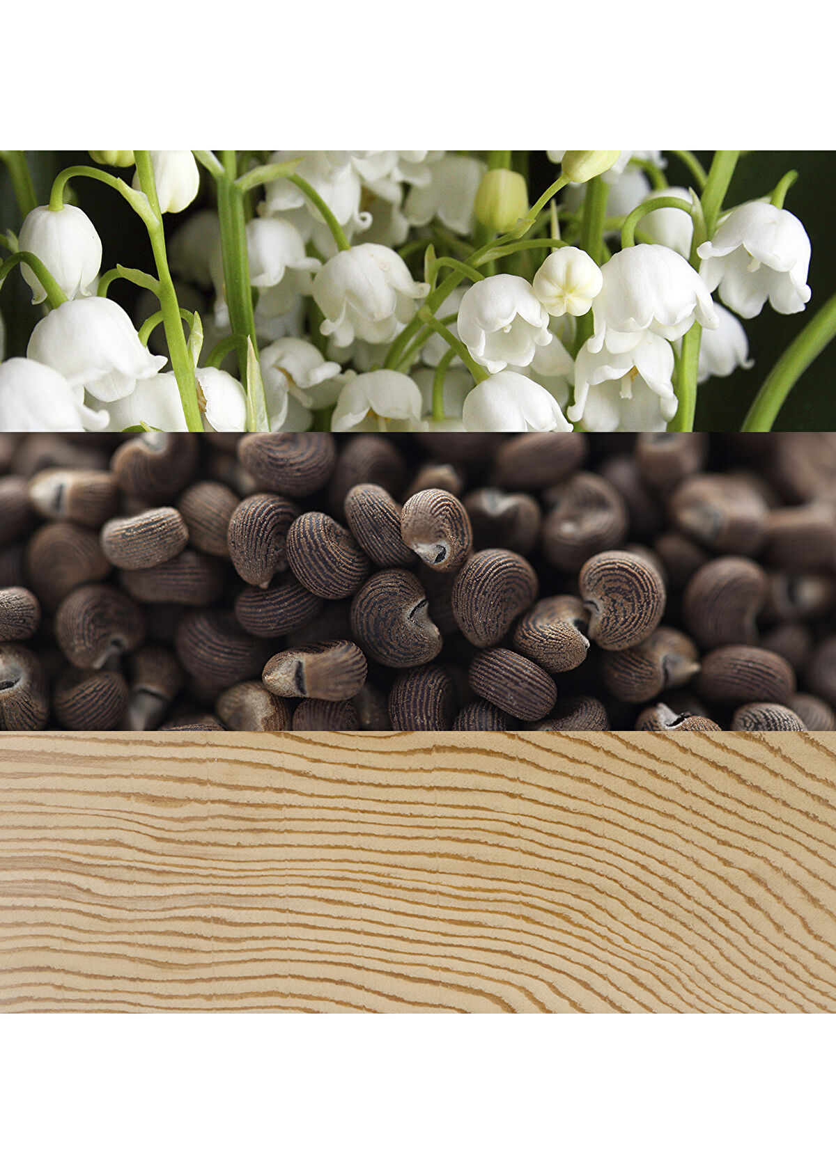 Calvin Klein Beauty EDP 100 ml Kadın Parfüm - 3