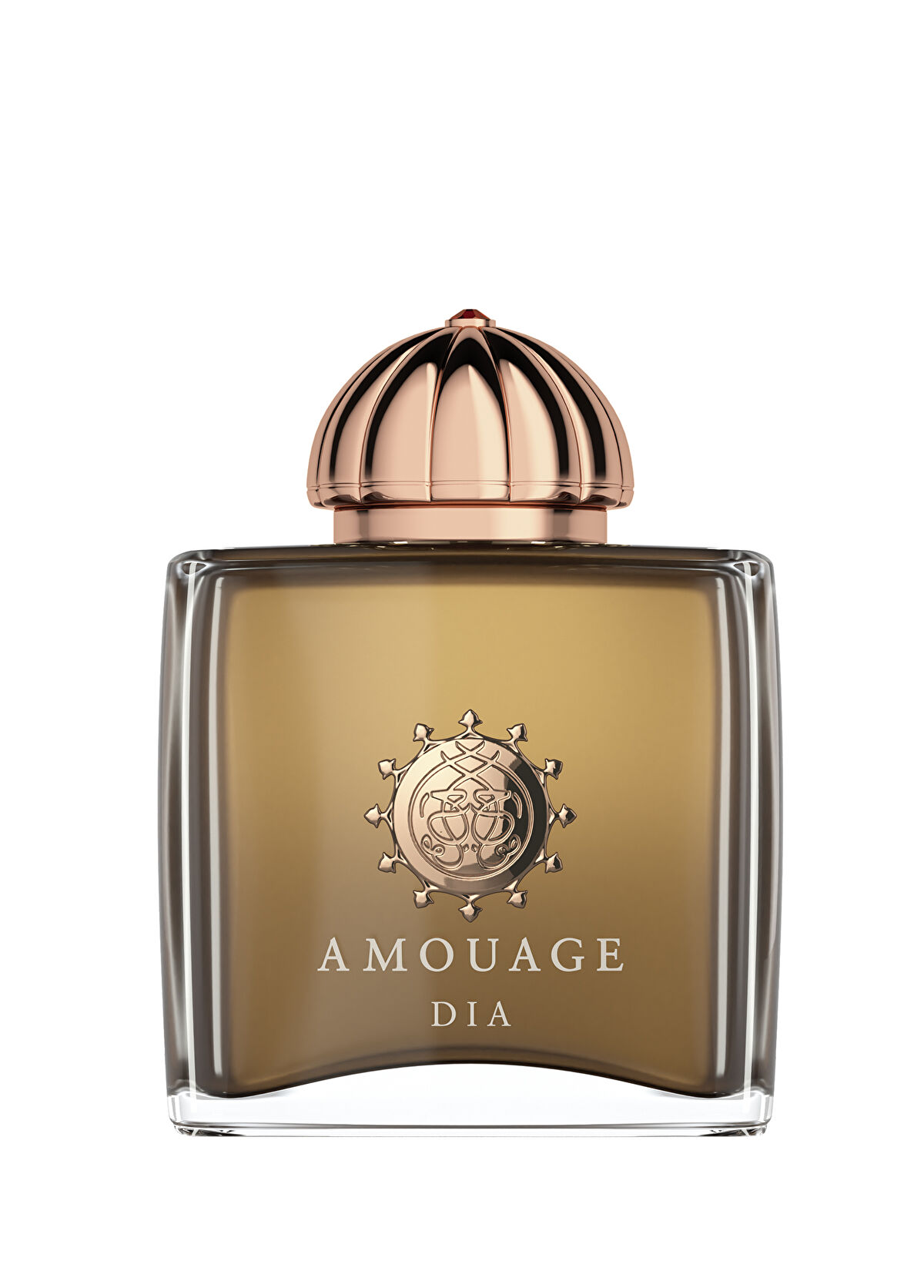 Amouage Dia Woman EDP 100 ml Kadın Parfüm - 1