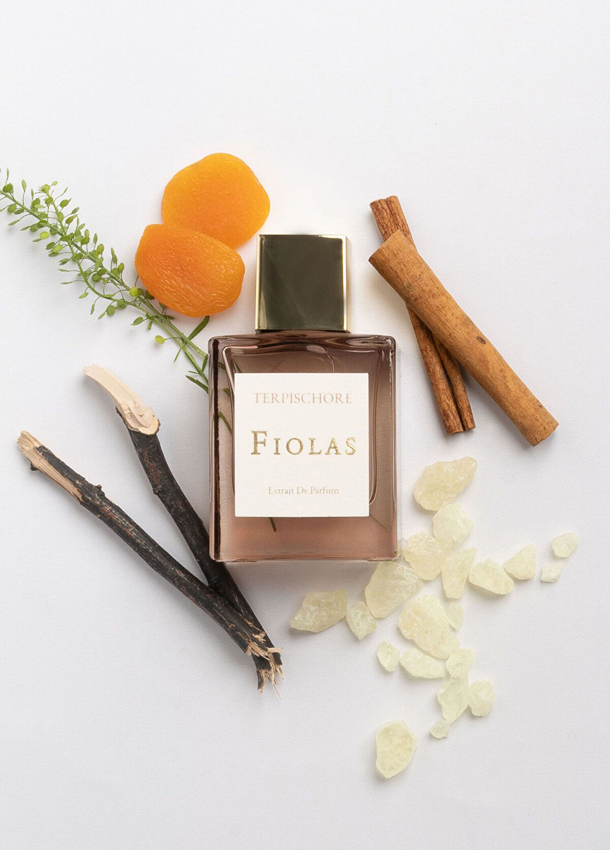 Fiolas Terpischore Extrait De 50 ml Unisex Parfüm - 3