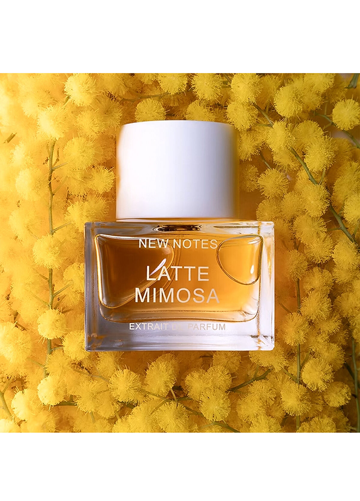 New Notes Latte Mımosa Edp Extraıt De Parfüm - 3