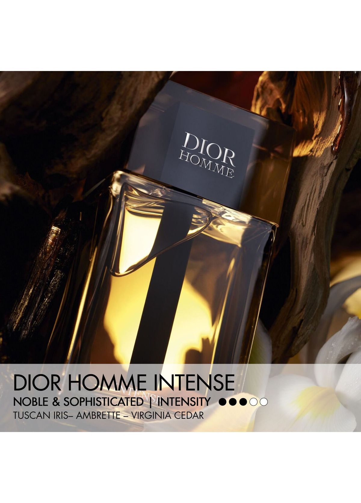 Dior Dior Homme intense Set - 3