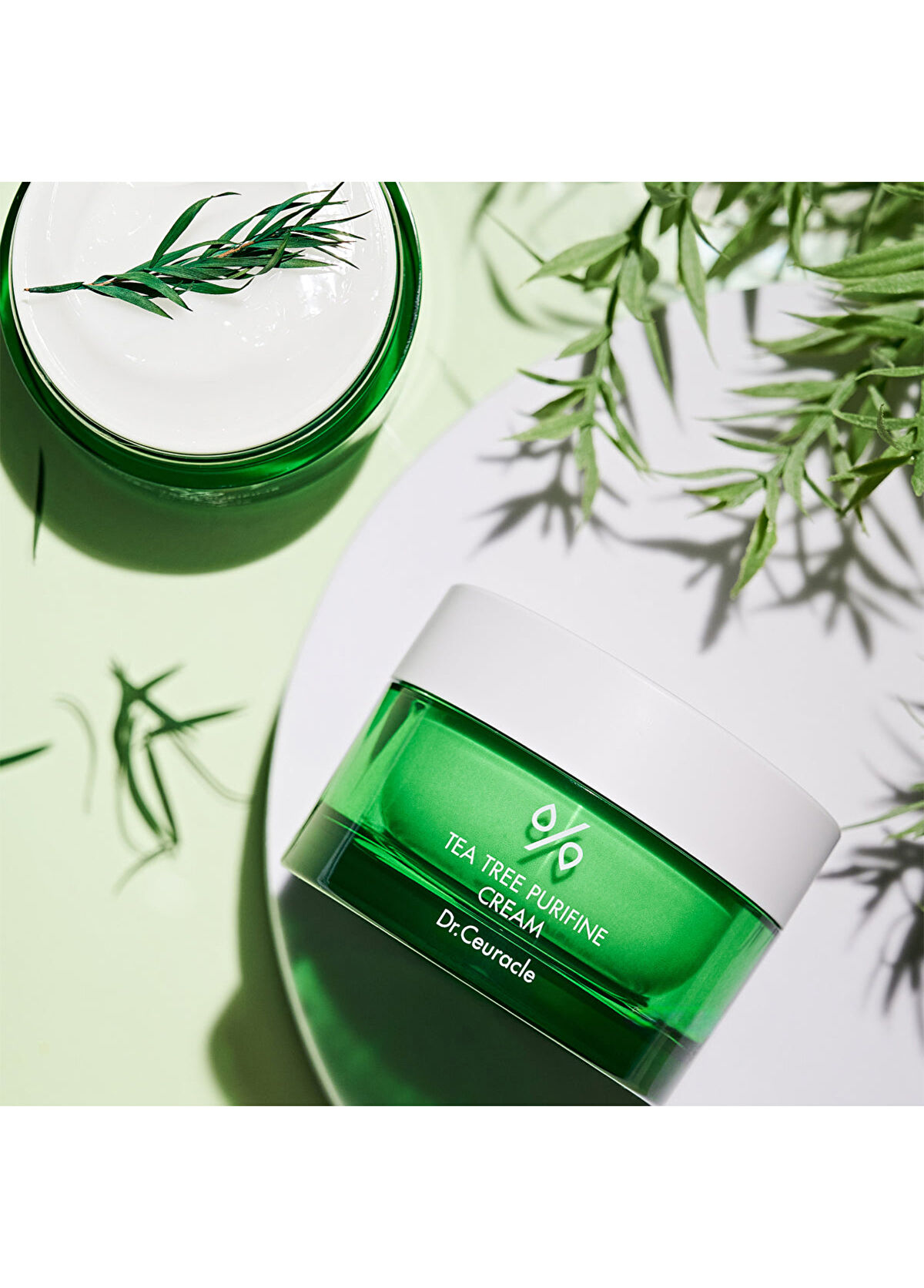 Dr. Ceuracle Tea Tree Purifine 80 Cream Bariyer Koruyucu Gözenek Karşıtı Çay Ağacı Kremi 50 gr - 3