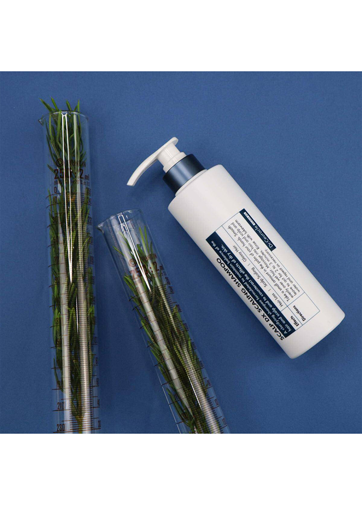 Dr. Ceuracle Scalp DX Scaling Shampoo Saç Dökülmesi Karşıtı Bitki Özlü Şampuan 500 ml - 3