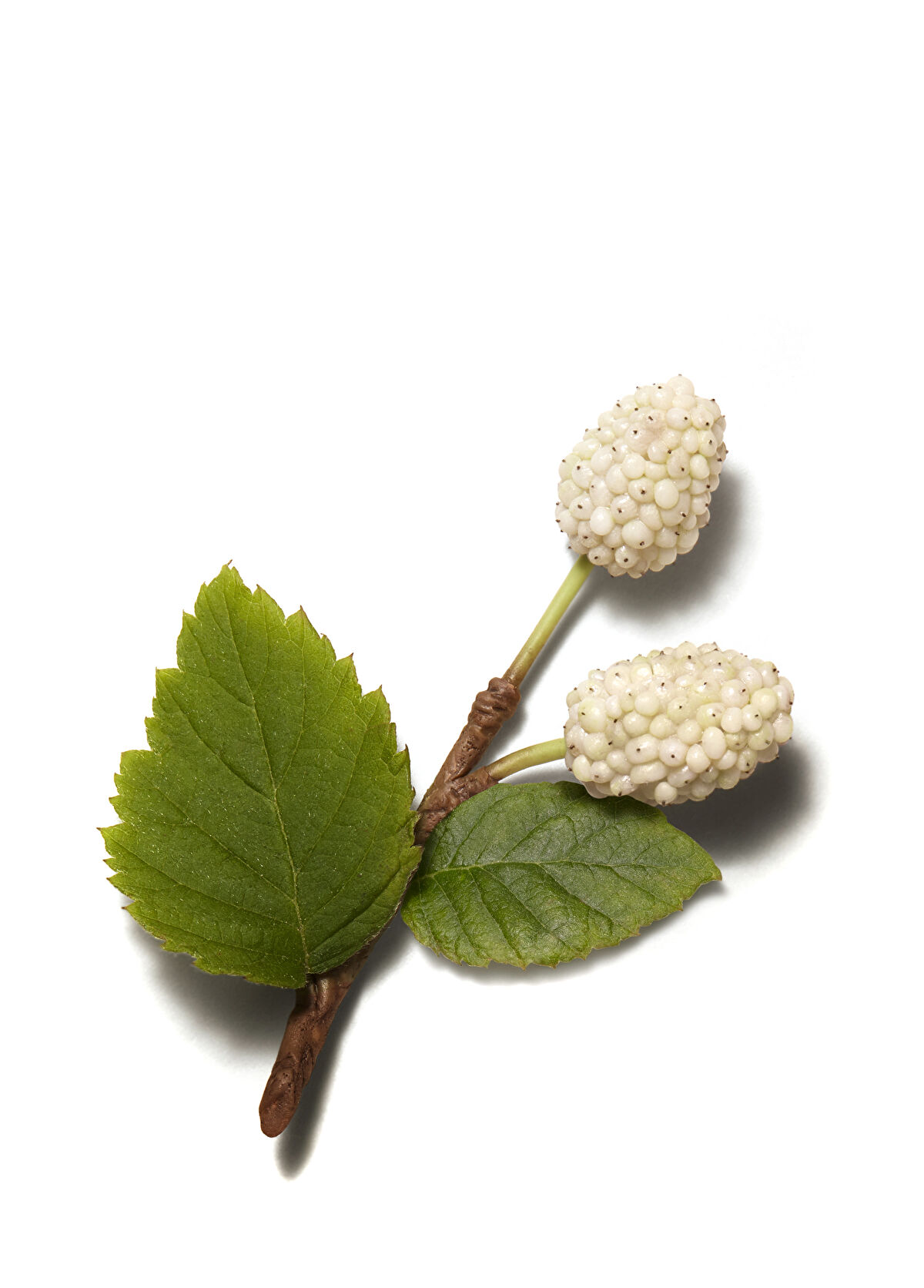 Hermès Les Mains Hermes Komple El Bakımı - 3