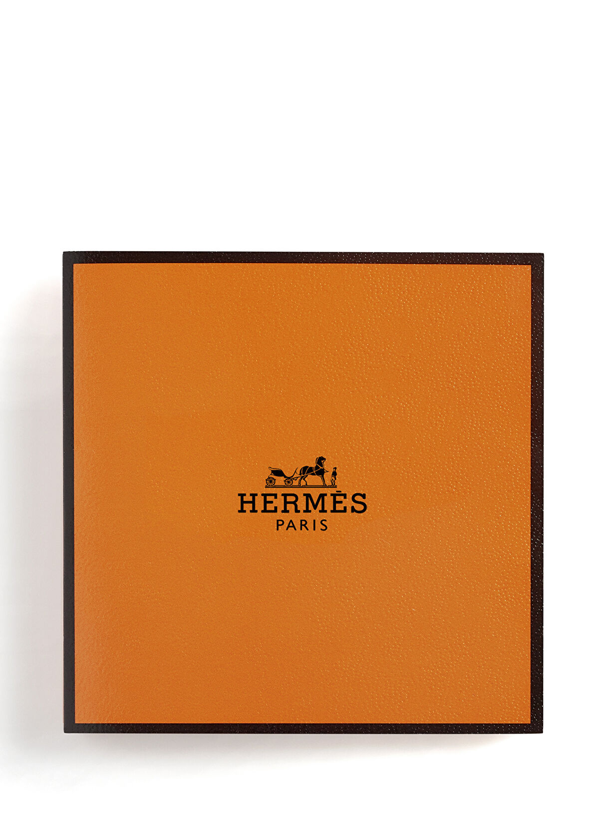 Hermès Hermès Plein Air Ufak Matlaştırıcı Kağıt Mendil - 3