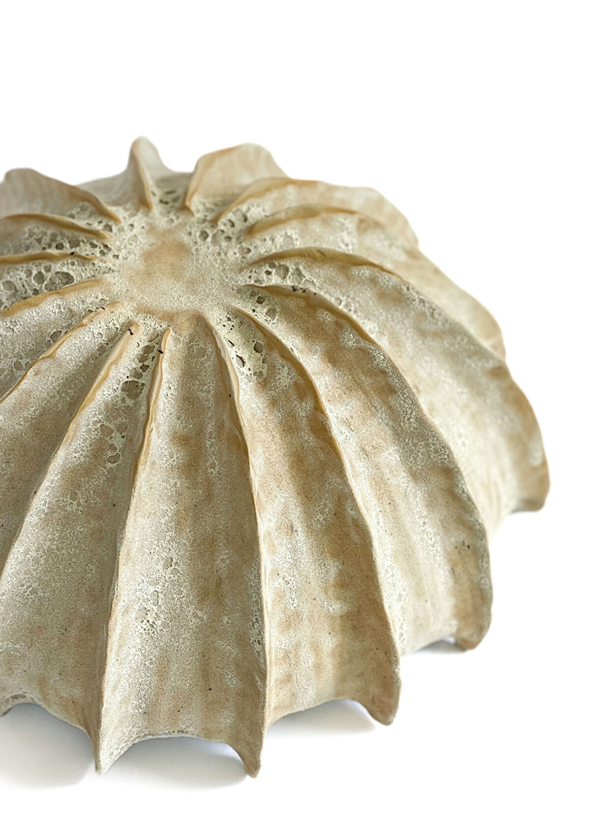 Maya Design Coral Mavi Beyaz Seramik Kase - 3