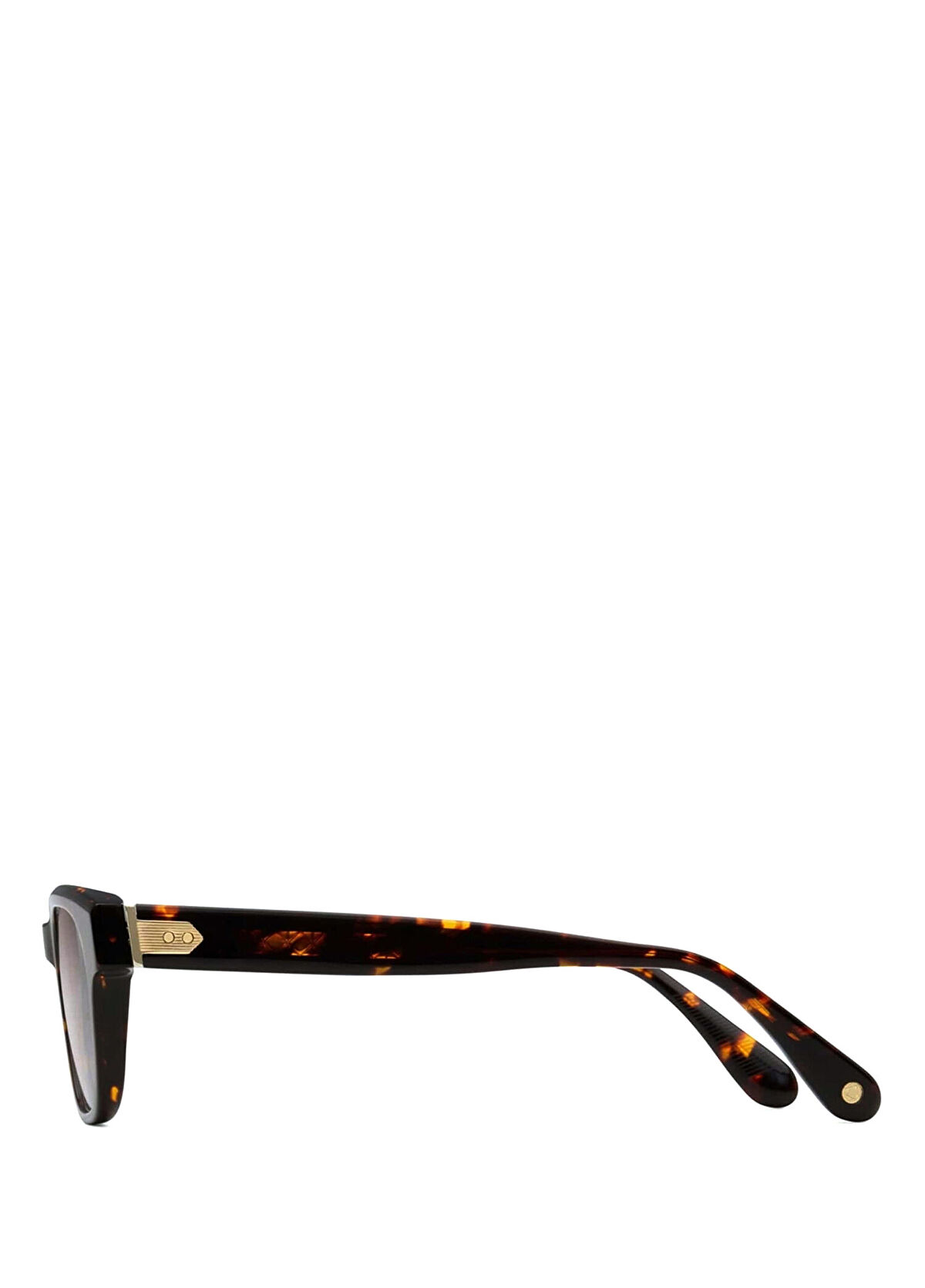 LUNETTERIE GENERALE Aesthete Dark Havana Kahverengi Asetat Unisex Güneş Gözlüğü - 3