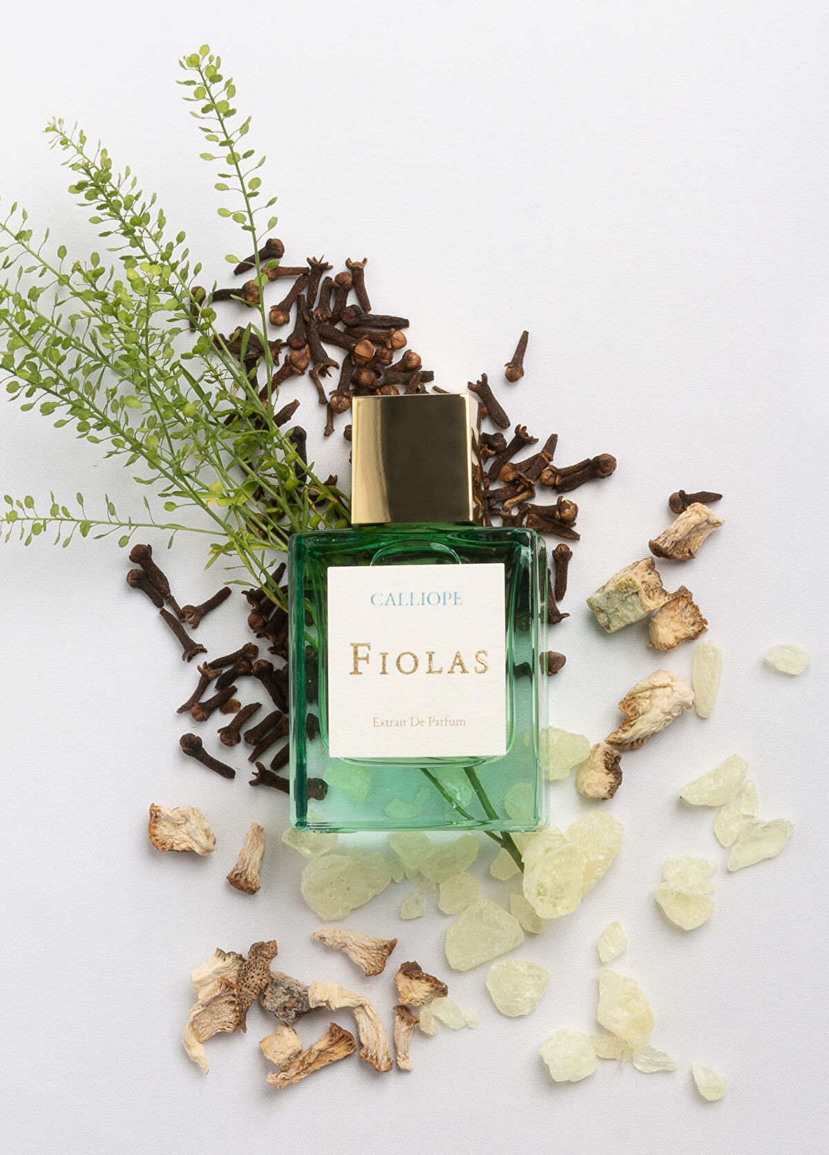 Fiolas Calliope Extrait De 50 ml Unisex Parfüm - 3