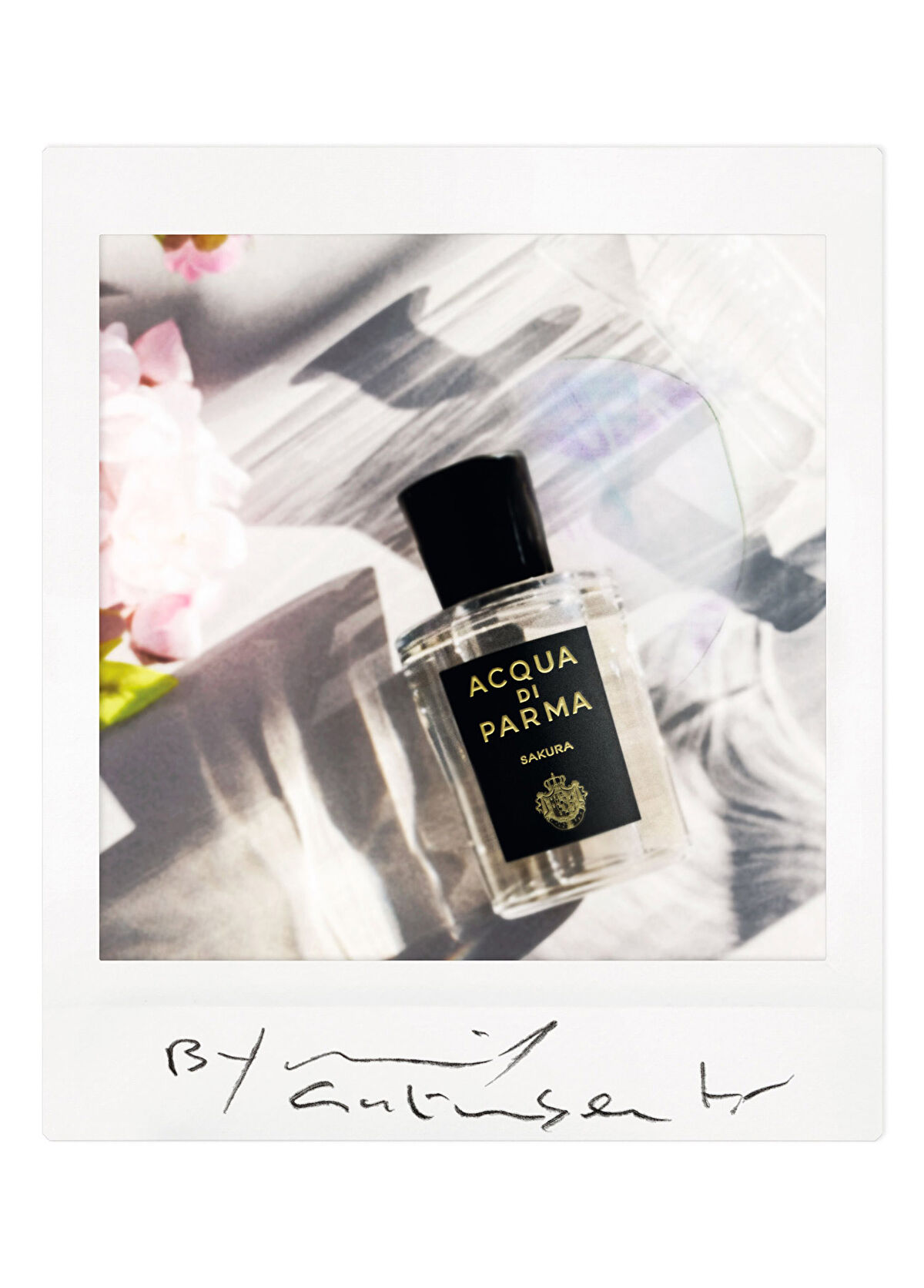 Acqua di Parma Signature Sakura EDP 100 ml Parfüm - 3