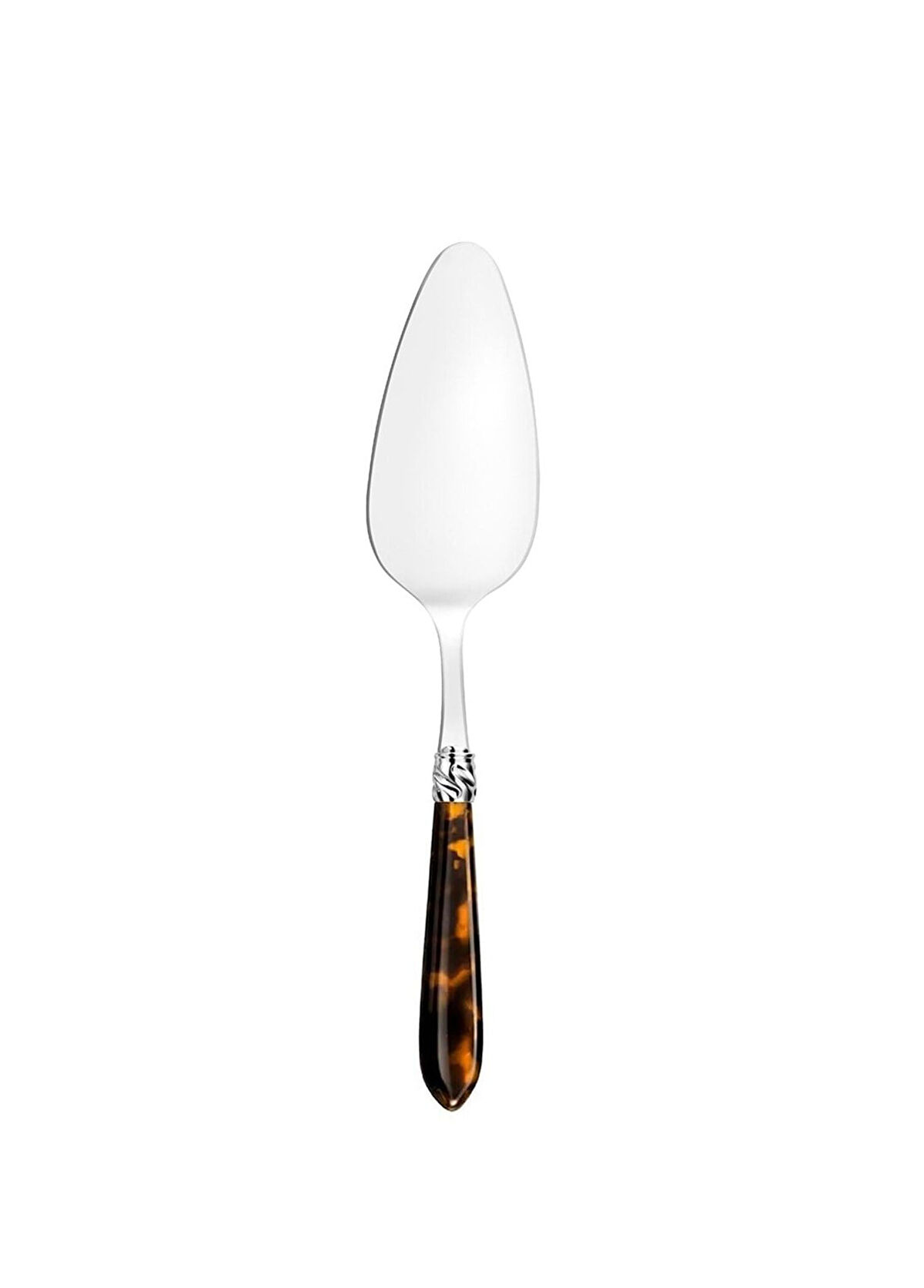 Resim Diana Kaplumbağa Spatula 
