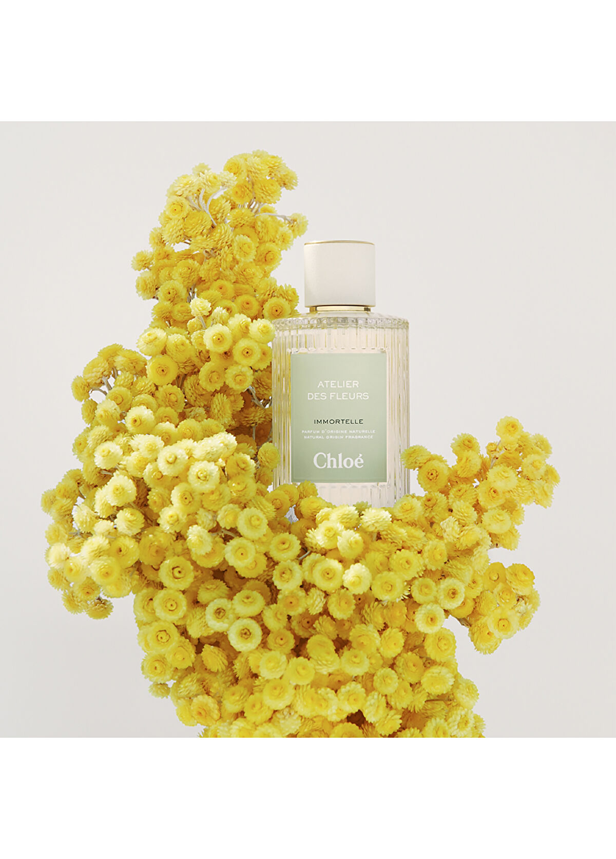 Chloe Atelier des Fleurs Immortelle Edp 50 ML - 3