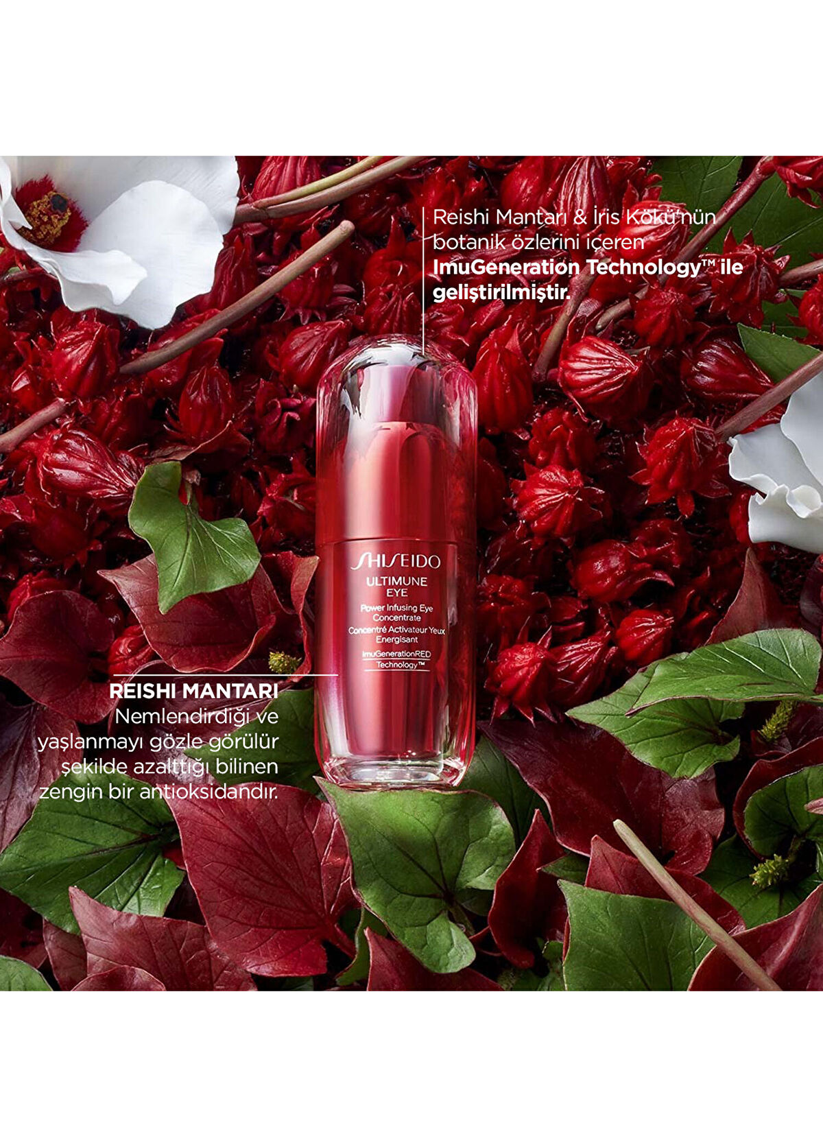 Shiseido Ultimune Eye Power Infusing 15 ml Eye Care Cream - 3