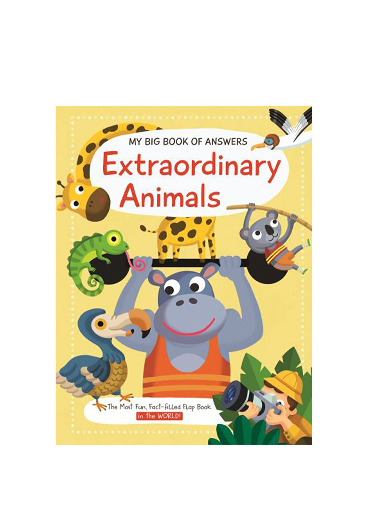 Yoyo Books - My Big Book of Answers Extraordinary Animals - Çok Renkli