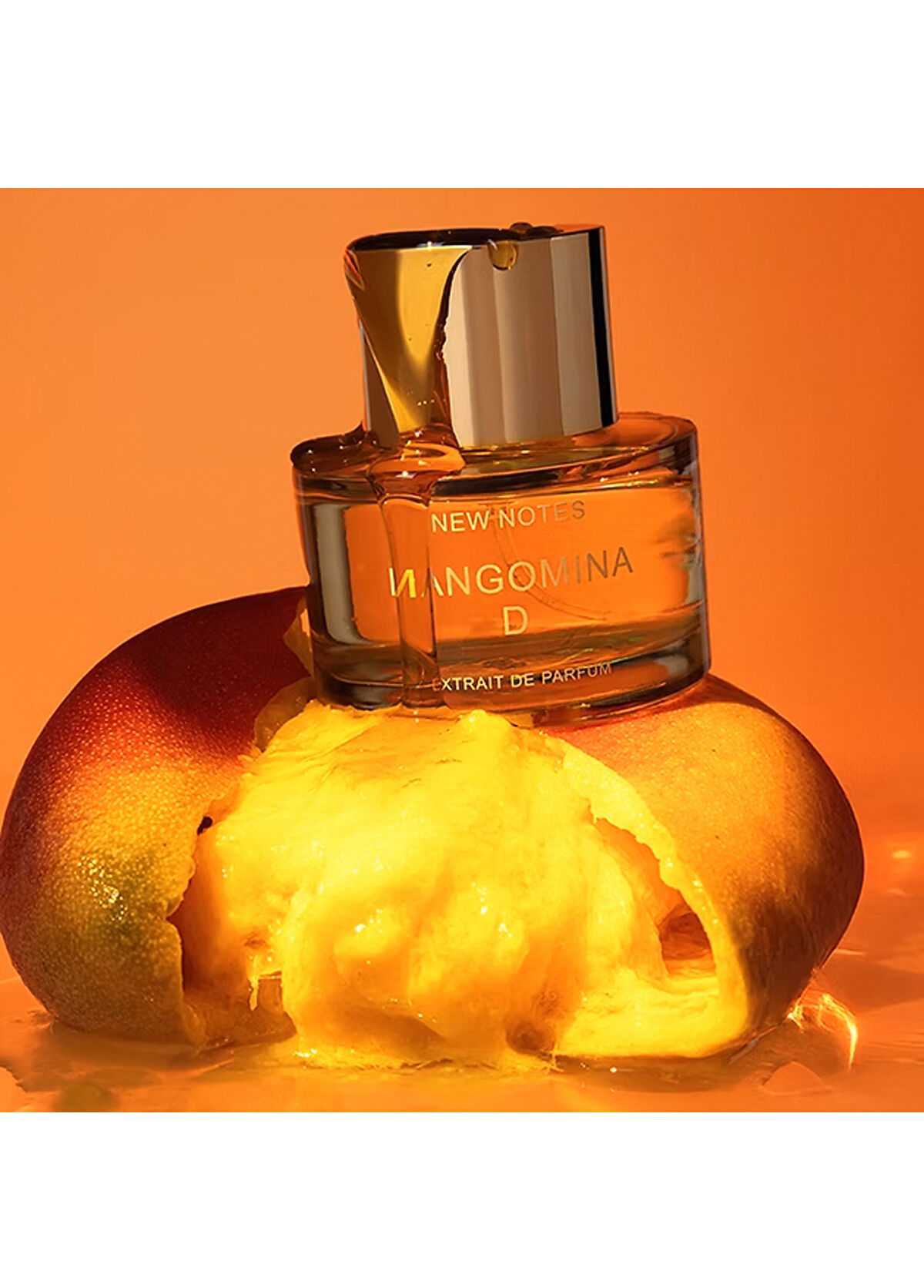 New Notes Mangomına D Extraıt De Parfüm - 3