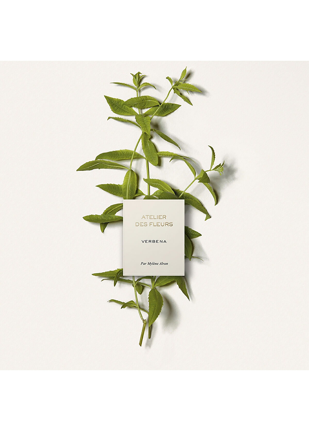 Chloe Atelier des Fleurs Verbena Edp 50ml - 3