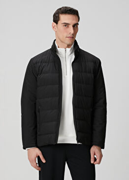 Siyah Dik Yaka Kapitoneli Causal Kaban