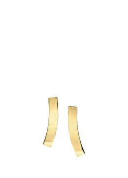 CKJ35000850 Altın Rengi Çelik Kadın Küpe