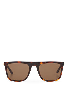 CR 80085 C2 Havana Altın Erkek Güneş Gözlüğü