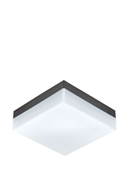 Sonella Antrasit Plastik Dış Mekan Led Duvar / Tavan Aydınlatması