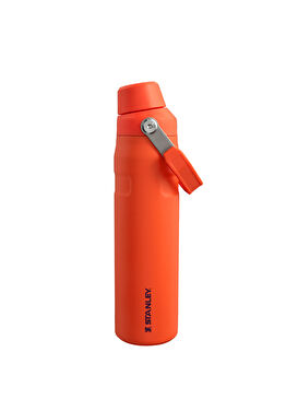 The Aerolight Iceflow Fast Flow Tigerlily Su Matarası  0.6 lt