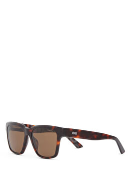CR 80070 C2 Havana Asetat Erkek Güneş Gözlüğü