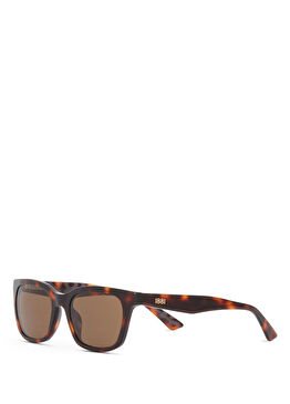 CR 80064 C2 Havana Asetat Erkek Güneş Gözlüğü