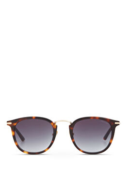 CR 80081 C2 Havana Altın Metal Erkek Güneş Gözlüğü