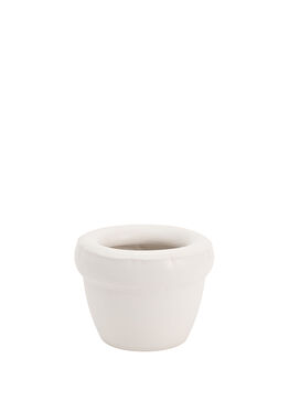 Louis Bone Matte Kemik Seramik Saksı