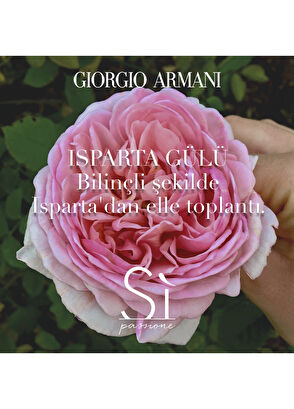 Giorgio Armani Sì Passione Eclat EDP 100 ml - 8