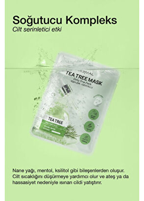 Dermal Tea Tree Mask Kuru ve Yorgun Ciltler İçin Nemlendirici ve Canlandırıcı Çay Ağacı Kore Maskesi 23 gr - 4