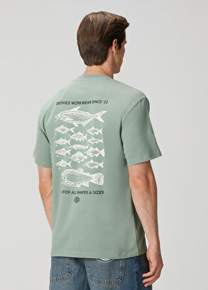 Dickies Laryville Yeşil T-shirt - 4