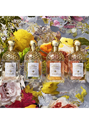 Guerlain Aqua Allegoria Pamplelune EDT 75 ml Kadın Parfüm - 5