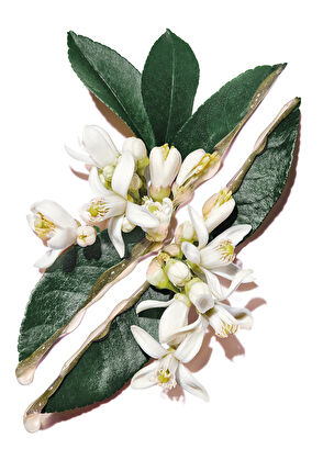 Yves Saint Laurent Hydra Bounce Pure Shots Hydra Bounce Nemlendirici - 5