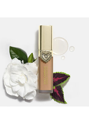 Dolce&Gabbana Everlast concealer 14 - Light Medium - 8