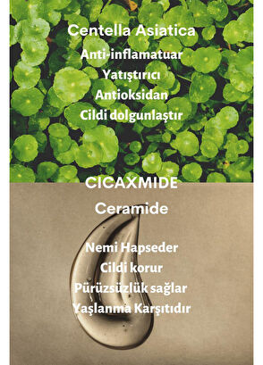 Dermal CICA x Stomach Serum Centella Asiatica and Ceramide Extract Skin Serum 50 ml - 4