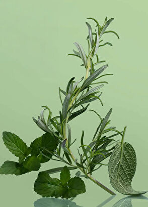 Milk Shake Energizing Blend Scalp Treatment Saç Losyonu 30 ml - 4