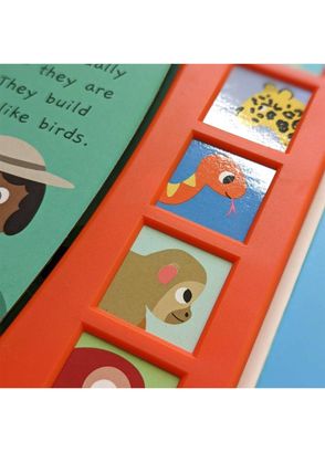 North Parade Publishing - Noisy Rainforest Little Wonders Sound Book ...
