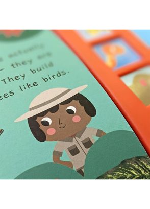 North Parade Publishing - Noisy Rainforest Little Wonders Sound Book ...