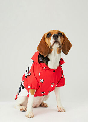 Little Monsters Kırmızı Medium Evcil Hayvan Kıyafeti - 3